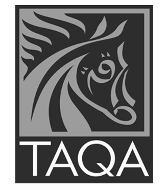 Transformative Solutions: Transformer Testing & Repair Servicesclients